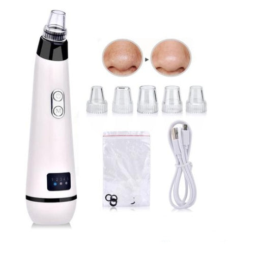 Household electric beauty instrument